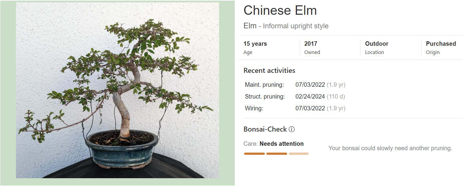 Bonsai Diary Detailansicht - Baum Tagebuch